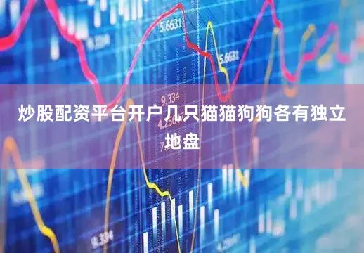 炒股配资平台开户几只猫猫狗狗各有独立地盘